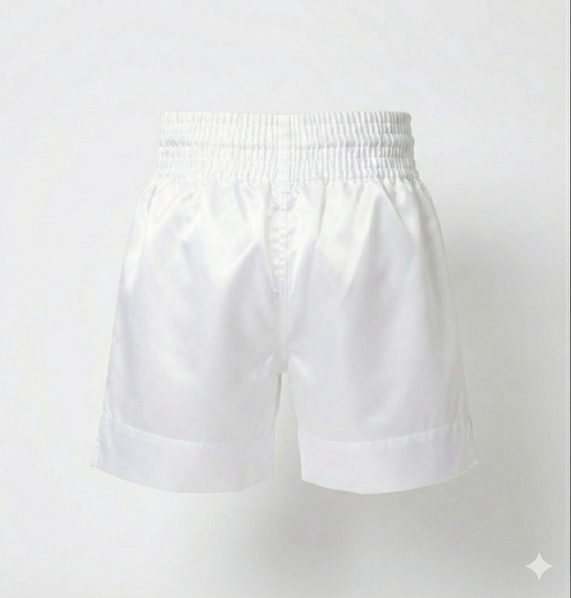 Zett pro boxing shorts, back view
