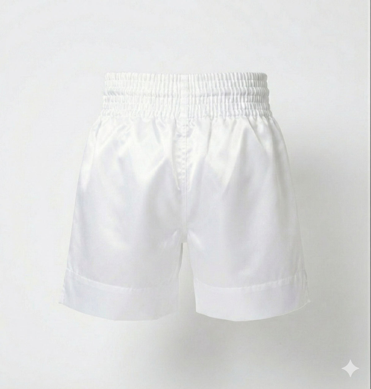 Zett pro boxing shorts, back view