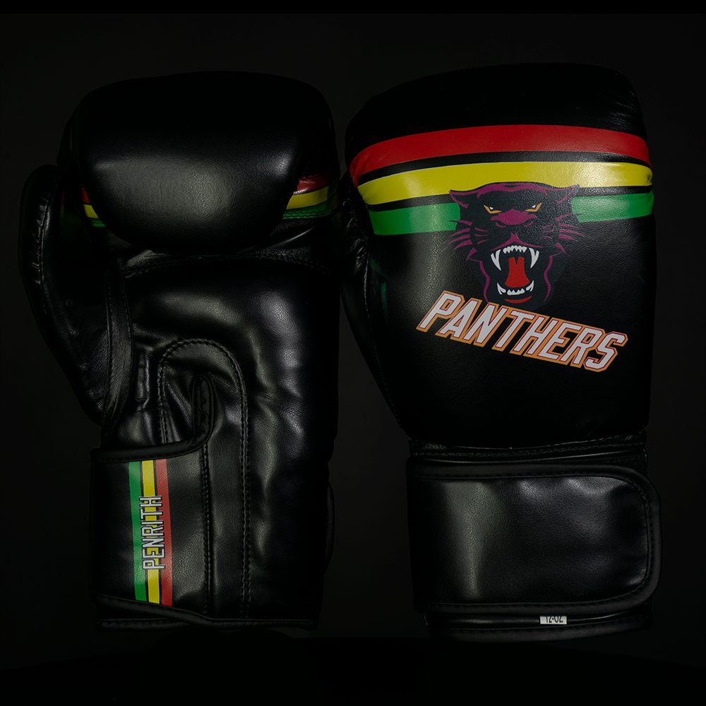 Zett Panthers Edition boxing gloves